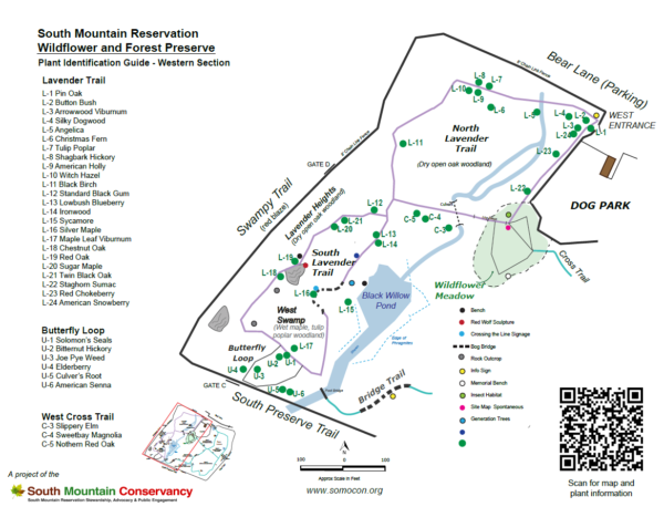 SMR Wildflower & Forest Preserve – Plant Identification Guide – South ...